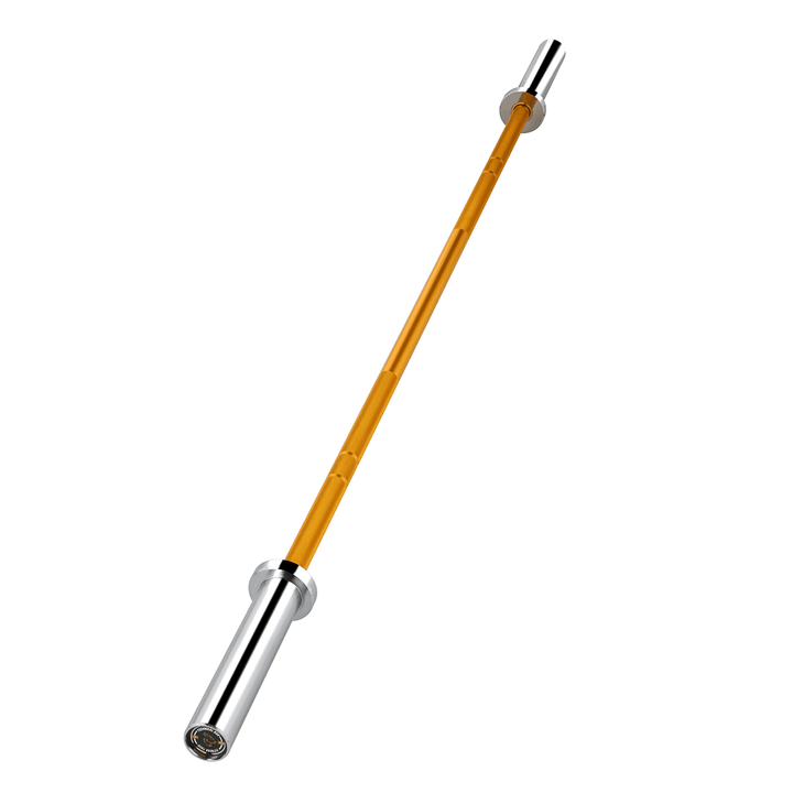 Barra di tecnica gold 1.8m*50mm 2 cuscinetti 22Kg