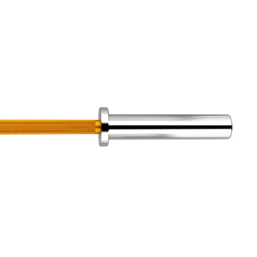 Barra di tecnica gold 1.8m*50mm 2 cuscinetti 22Kg