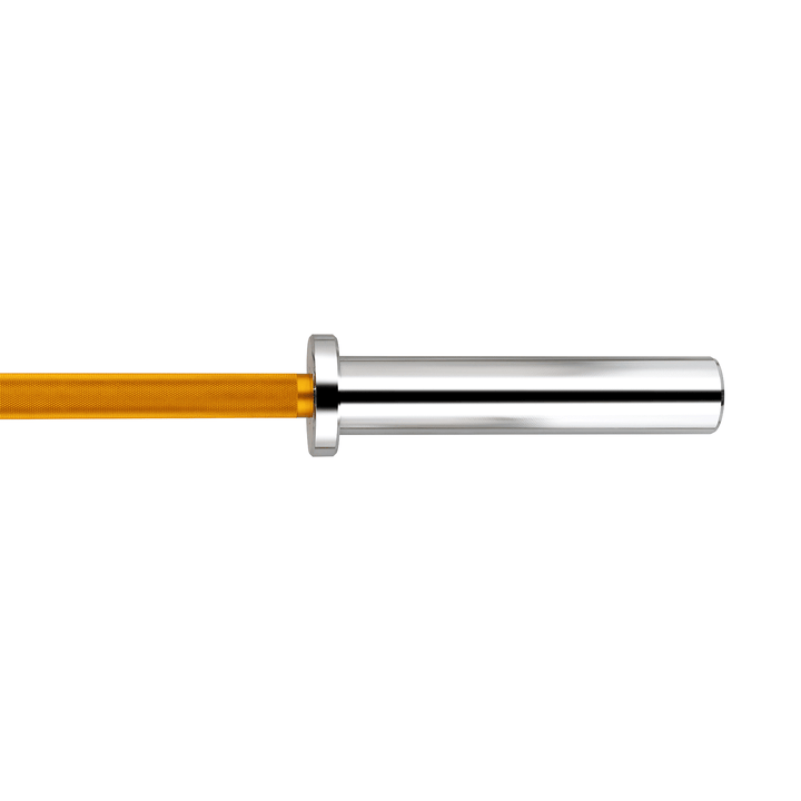 Barra di tecnica gold 1.8m*50mm 2 cuscinetti 22Kg