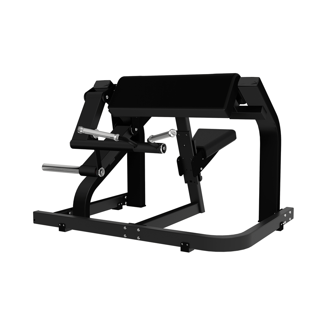 Sable machine/curl bicipiti