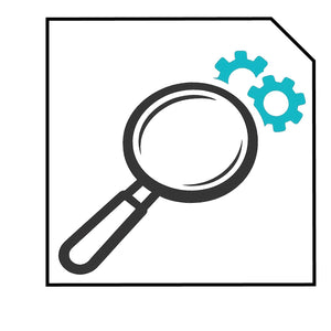 Revisione e Manutenzione