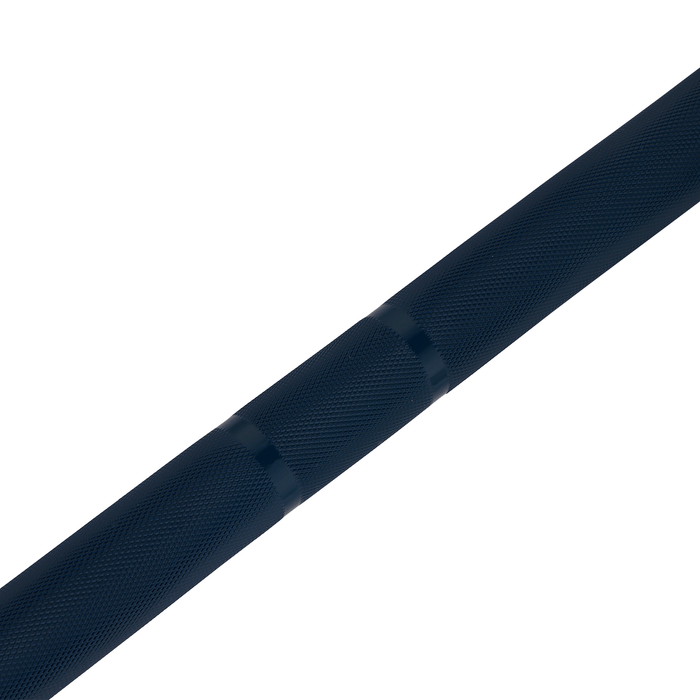 Barra olimpica Blu 220 cm x 50 mm 8 cuscinetti