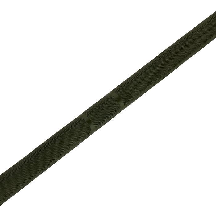 Barra olimpica verde 220 cm x 50 mm 8 cuscinetti