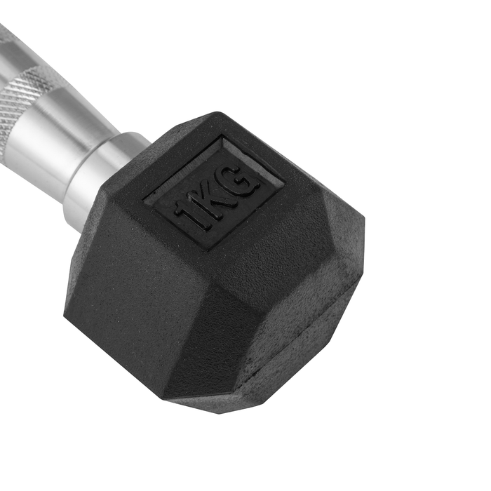 Manubri Esagonali 1-9 Kg / Set 2 unità