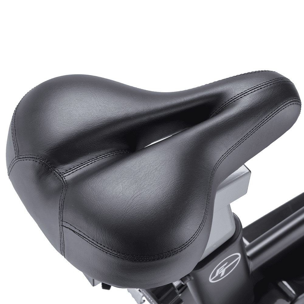 Indoor Bike Saman - White and Black